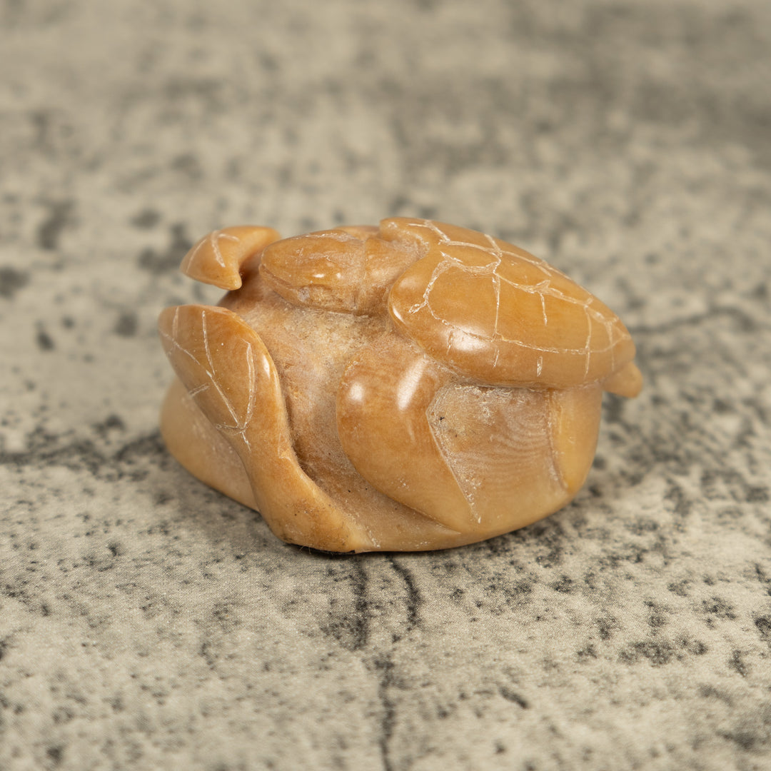 Vintage Natural White Sea Turtle Tagua Carving