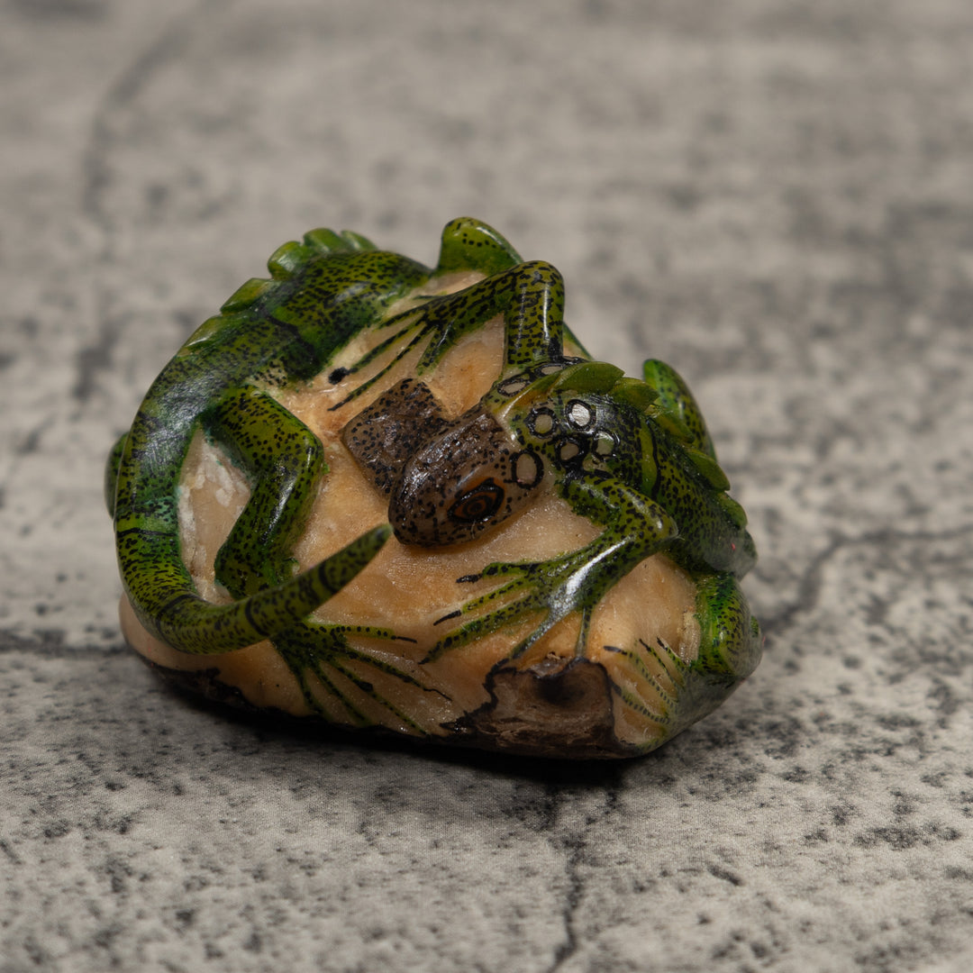 Double Long-Tail Iguana Tagua Carving