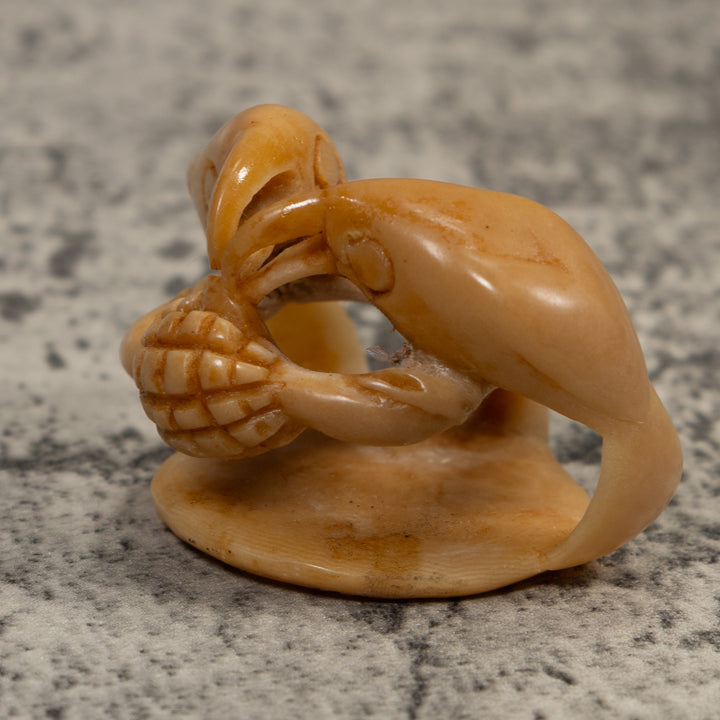 Vintage Natural Parrot Bird Tagua Carving