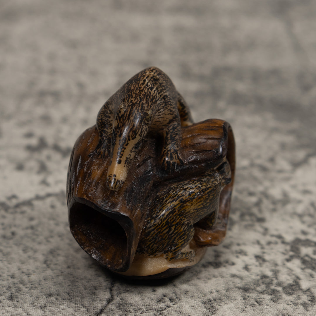 Coatimundi Tagua Carving
