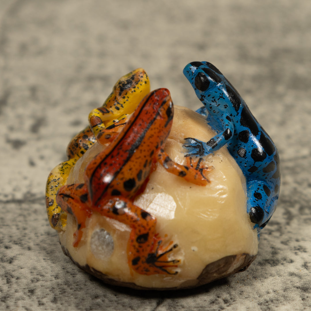 Triple Poison Dart Frog Tagua Carving