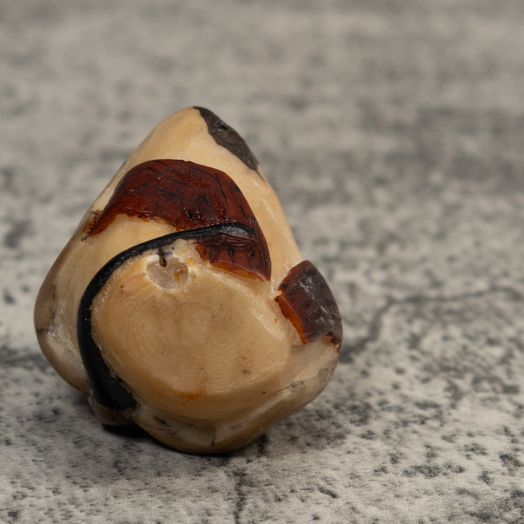 Orange And Brown Gecko Lizard Tagua Carving