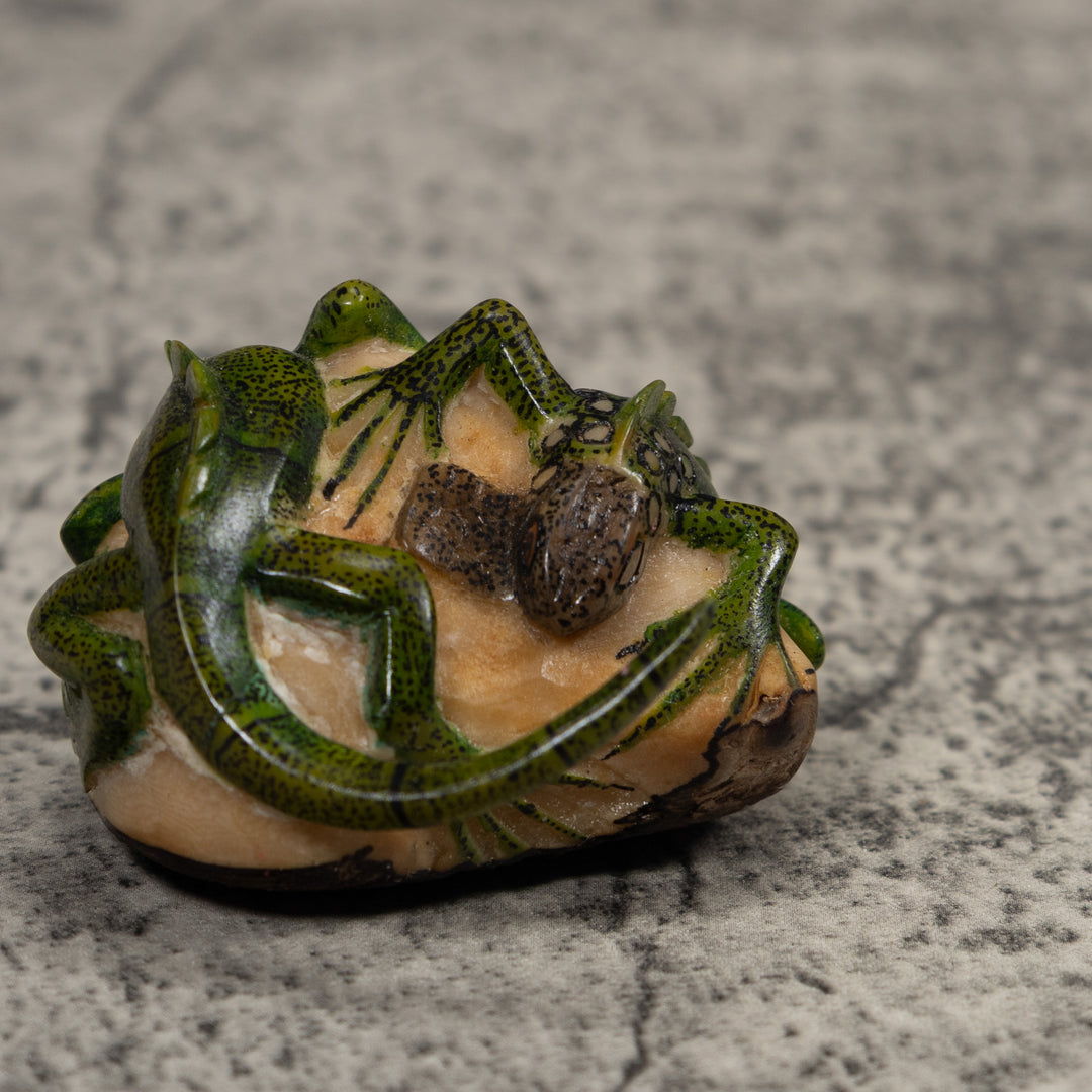 Double Long-Tail Iguana Tagua Carving