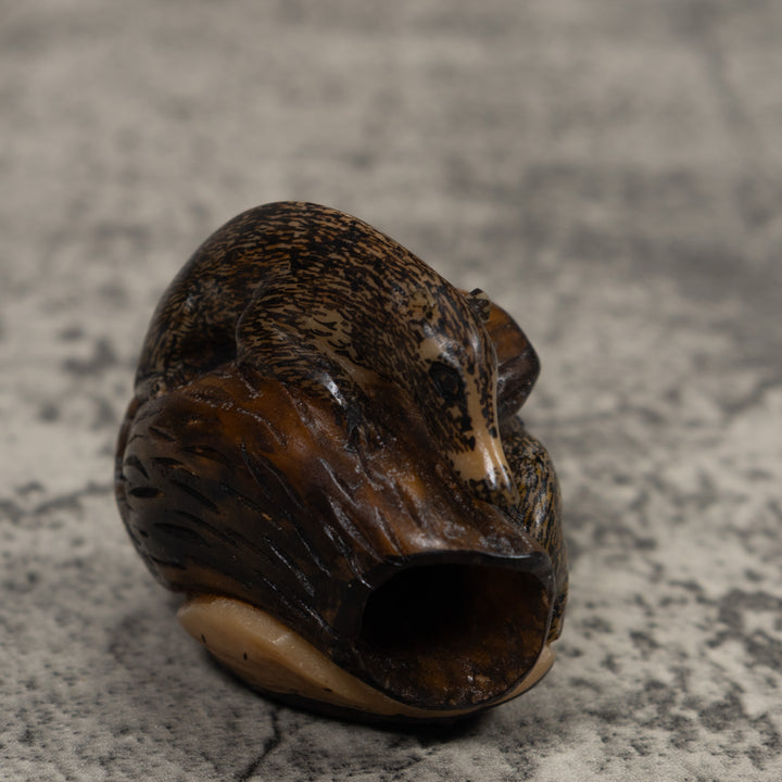 Coatimundi Tagua Carving