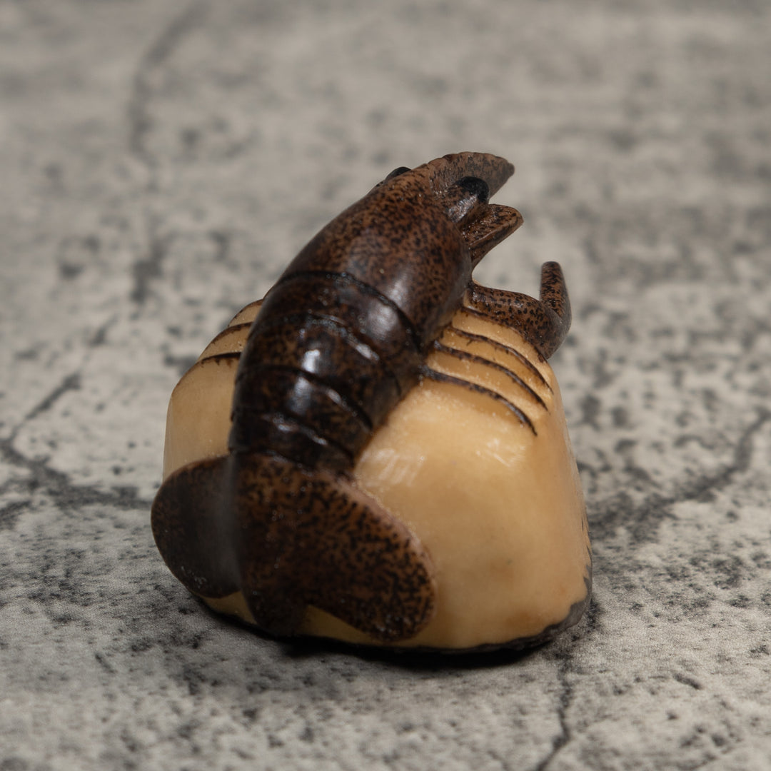 Brown Ocean Shrimp Tagua Carving