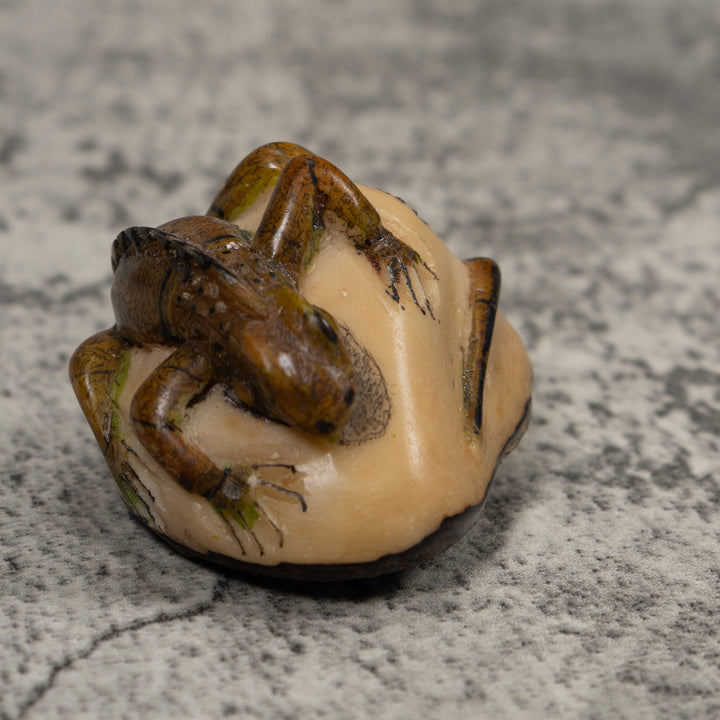 Vintage Iguana Lizard Reptile Tagua Carving