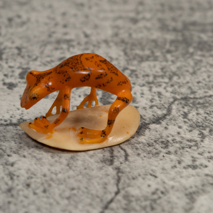 Orange And Black Undercut Frog Tagua Carving
