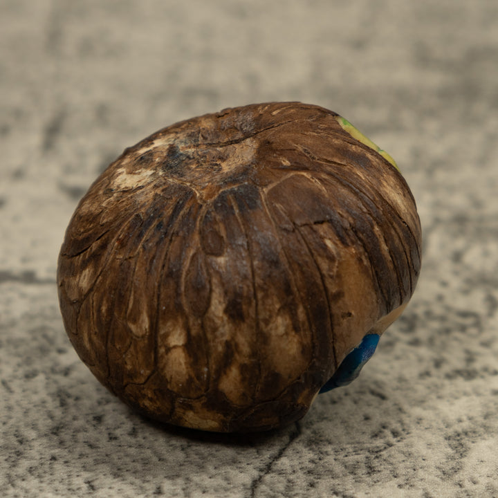 Blue Poison Dart Frog Tagua Carving