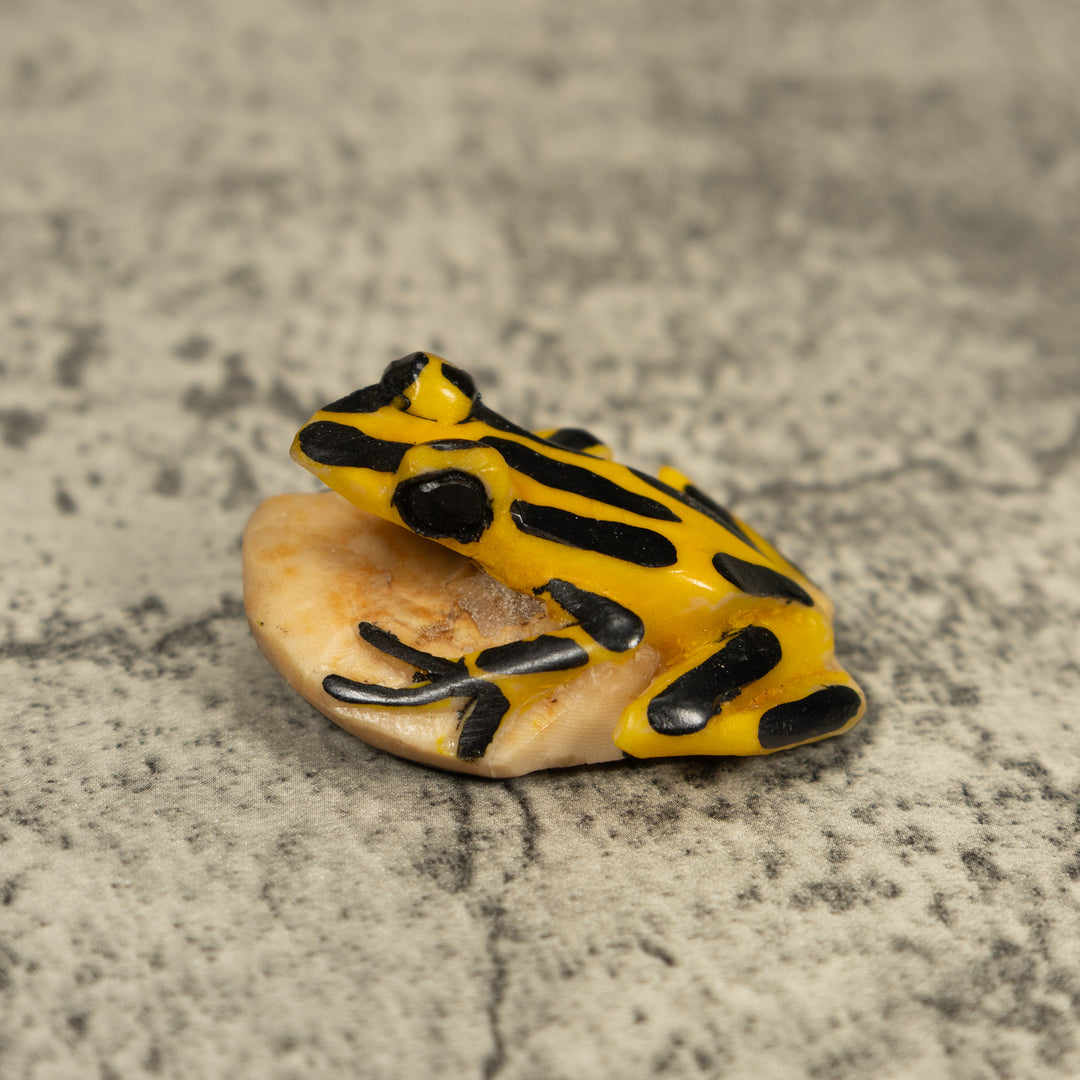 Vintage Black And Yellow Frog Tagua Carving