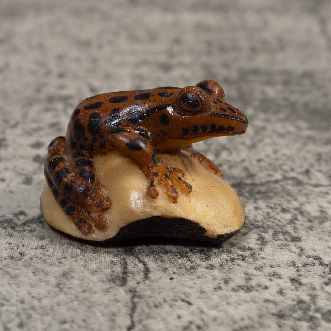 Black And Brown Toad Tagua Carving