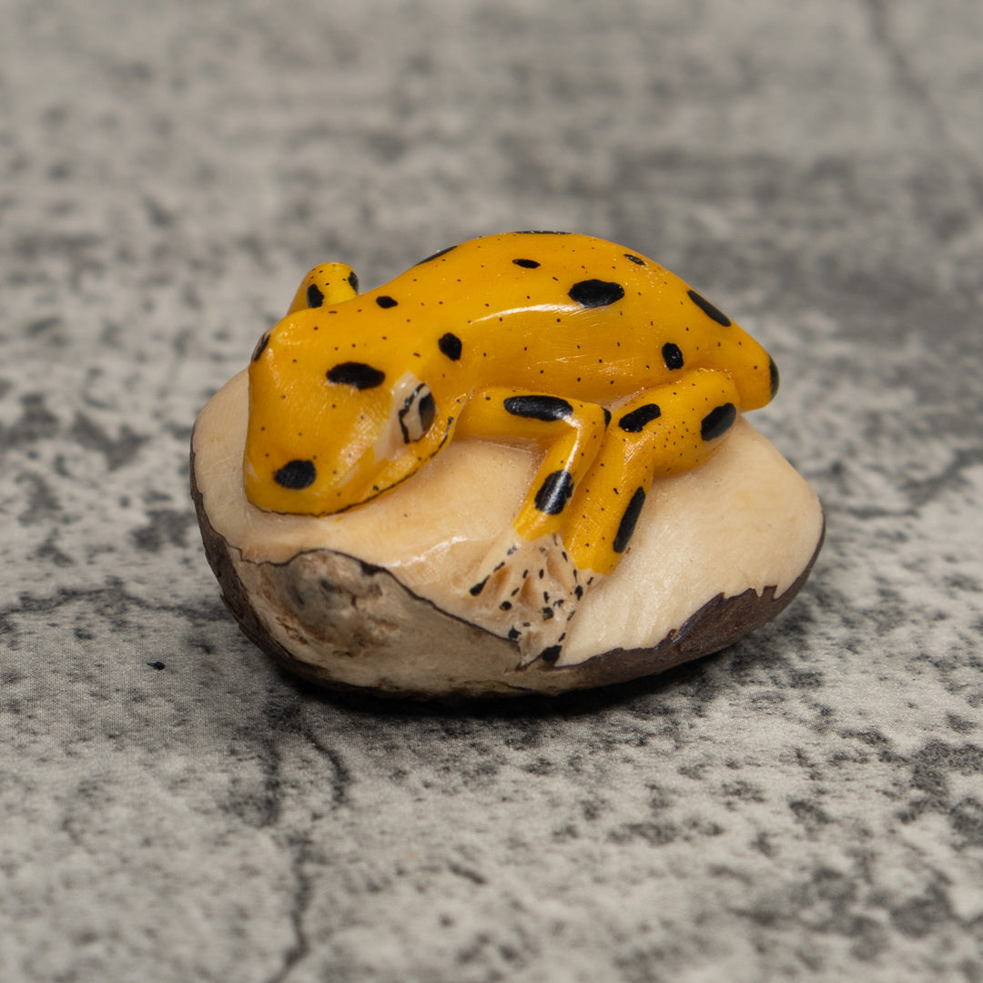 Golden Frog Tagua Carving