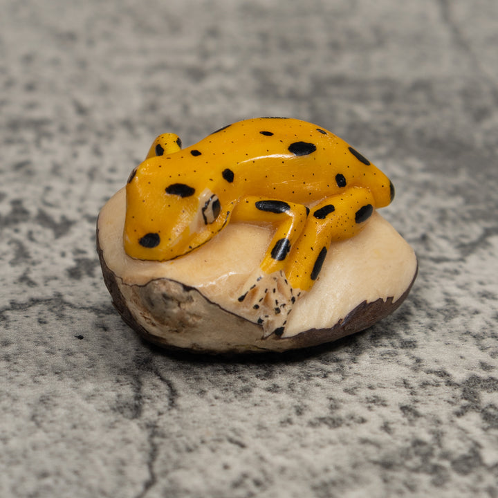 Golden Frog Tagua Carving