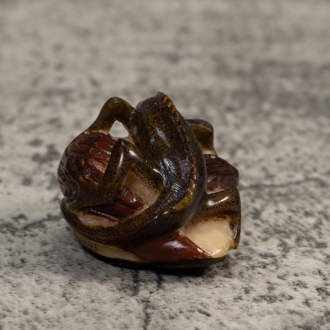 Brown And Black Iguana Lizard Tagua Carving