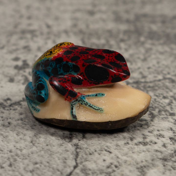Vintage Red Blue And Yellow Frog Tagua Carving