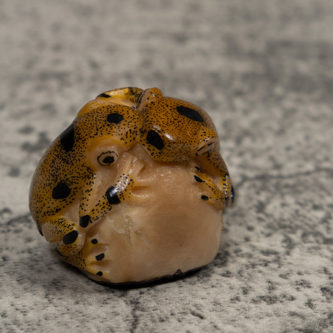 Double Vintage Frog Tagua Carving