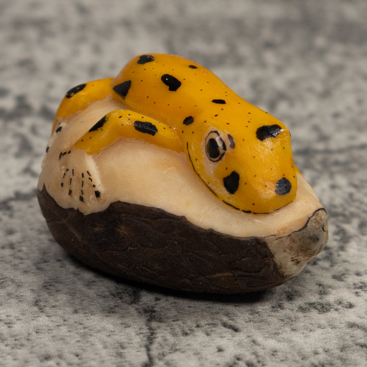 Golden Frog Tagua Carving