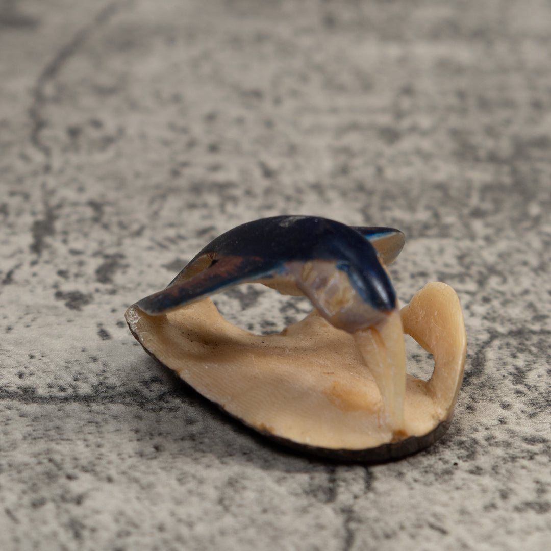 Vintage Black And Blue Bird Tagua Carving