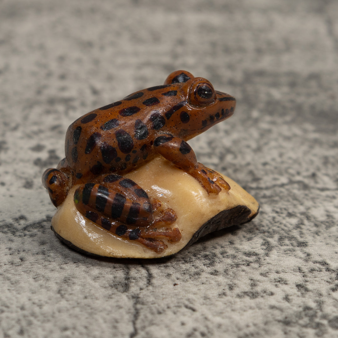 Black And Brown Toad Tagua Carving