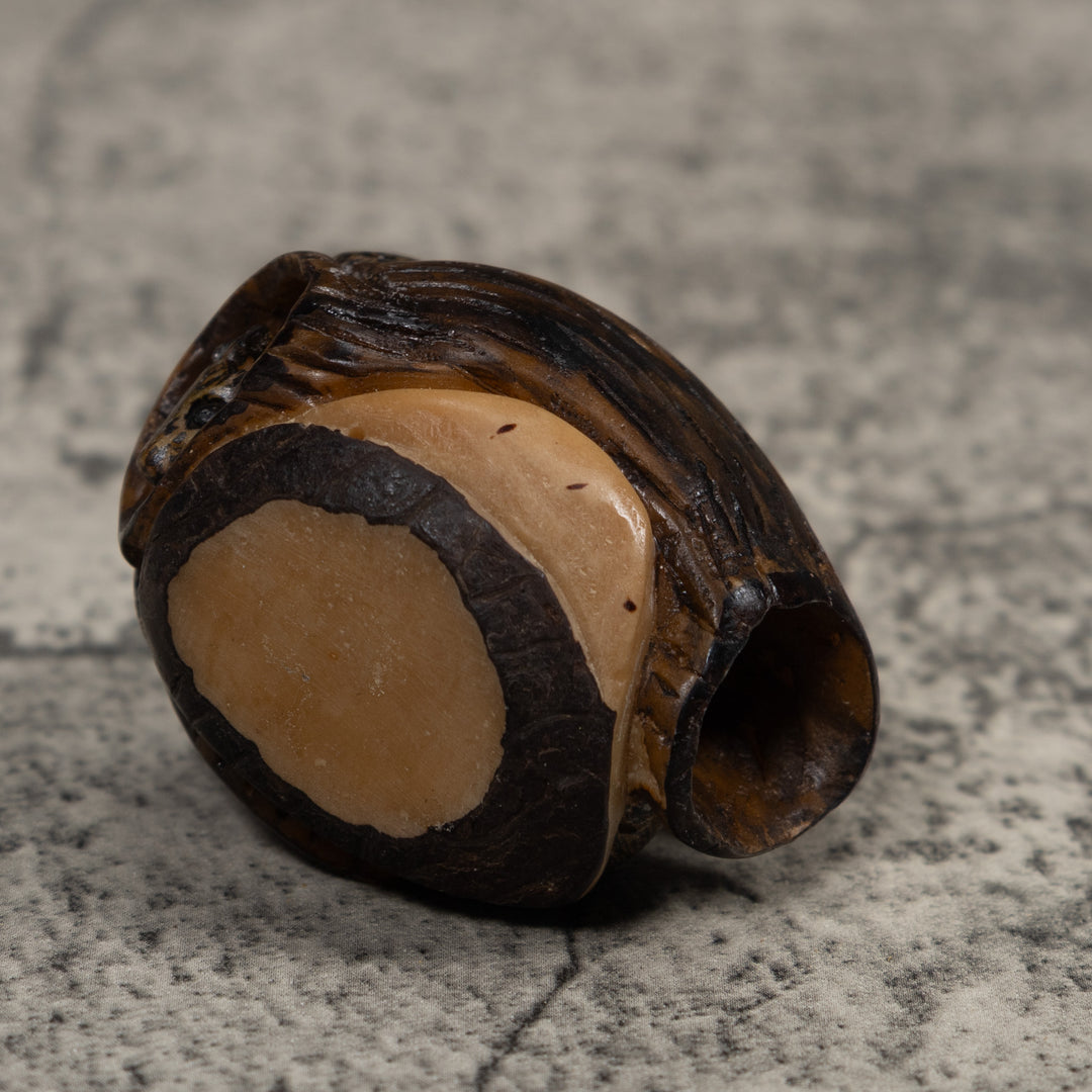 Coatimundi Tagua Carving