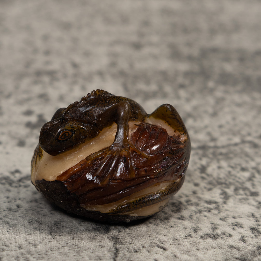 Brown And Black Iguana Lizard Tagua Carving
