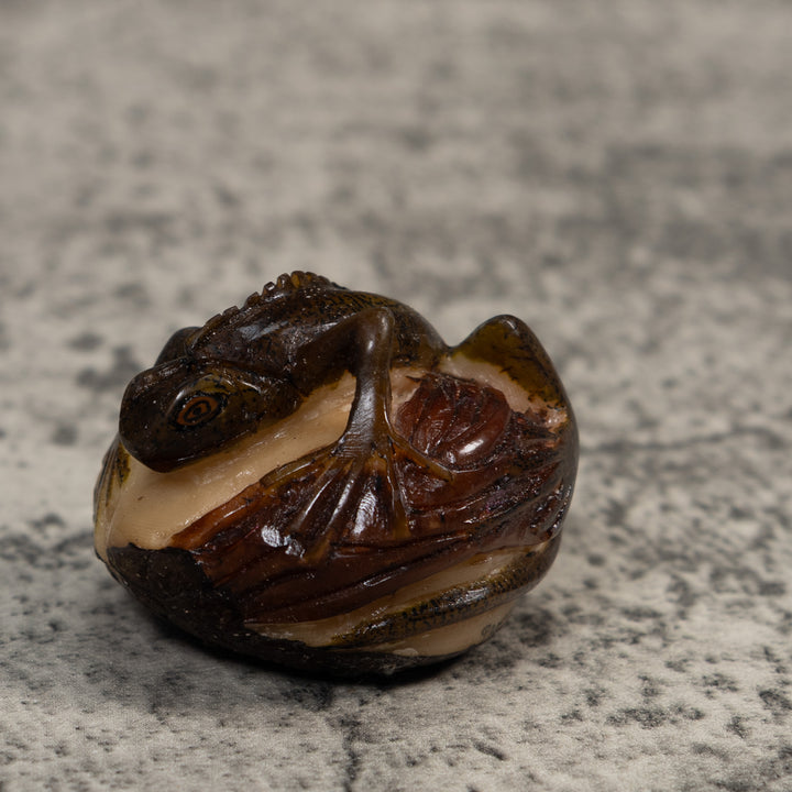 Brown And Black Iguana Lizard Tagua Carving