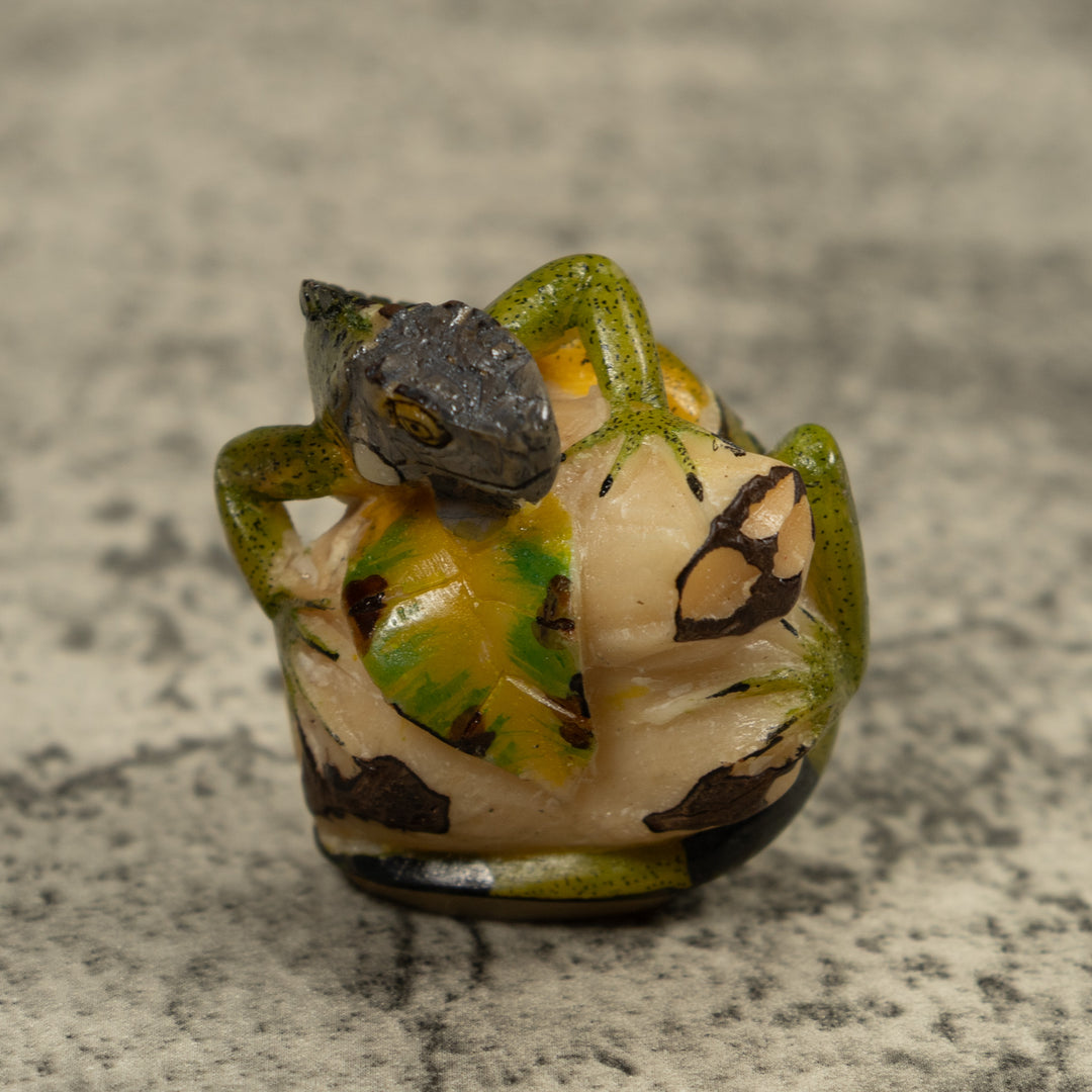 Iguana Lizard Reptile Tagua Carving