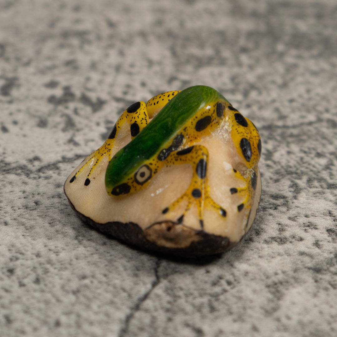 Poison Dart Frog Tagua Carving