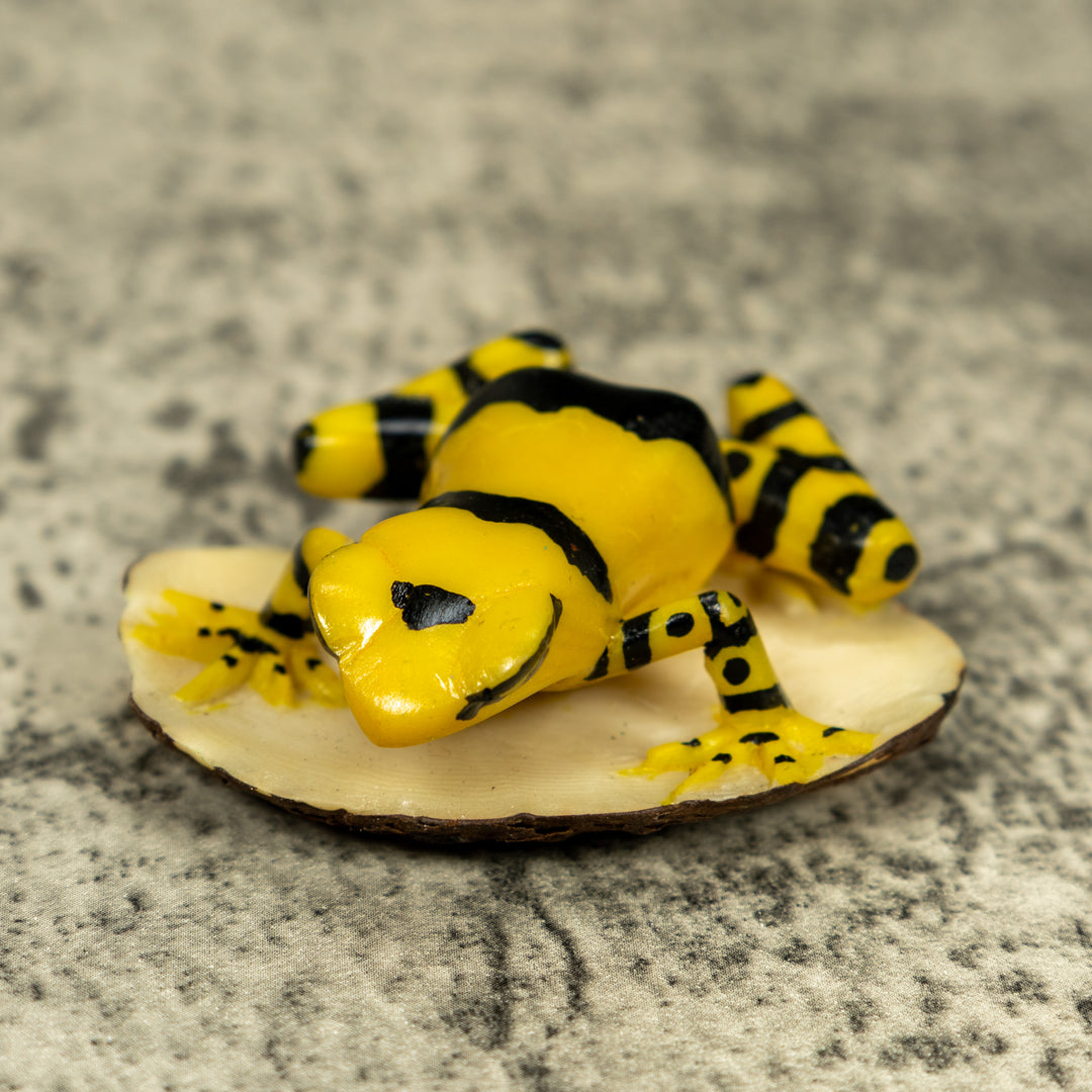 Black And Yellow Golden Frog Tagua Carving