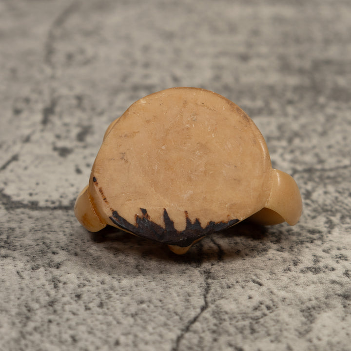 Vintage Natural Parrot Bird Tagua Carving