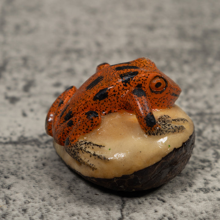 Vintage Poison Dart Frog Tagua Carving