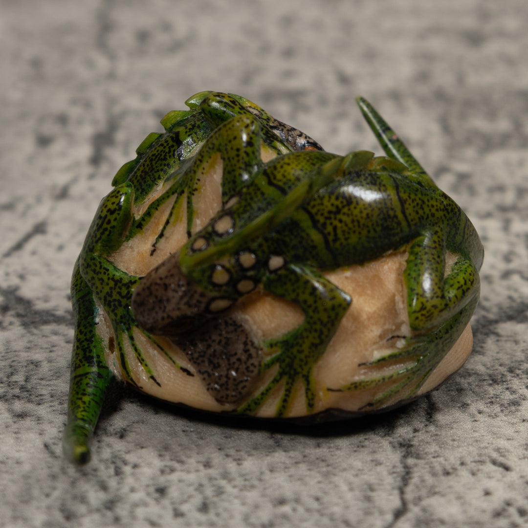 Double Long-Tail Iguana Tagua Carving