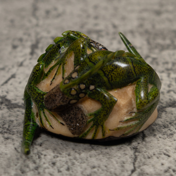 Double Long-Tail Iguana Tagua Carving