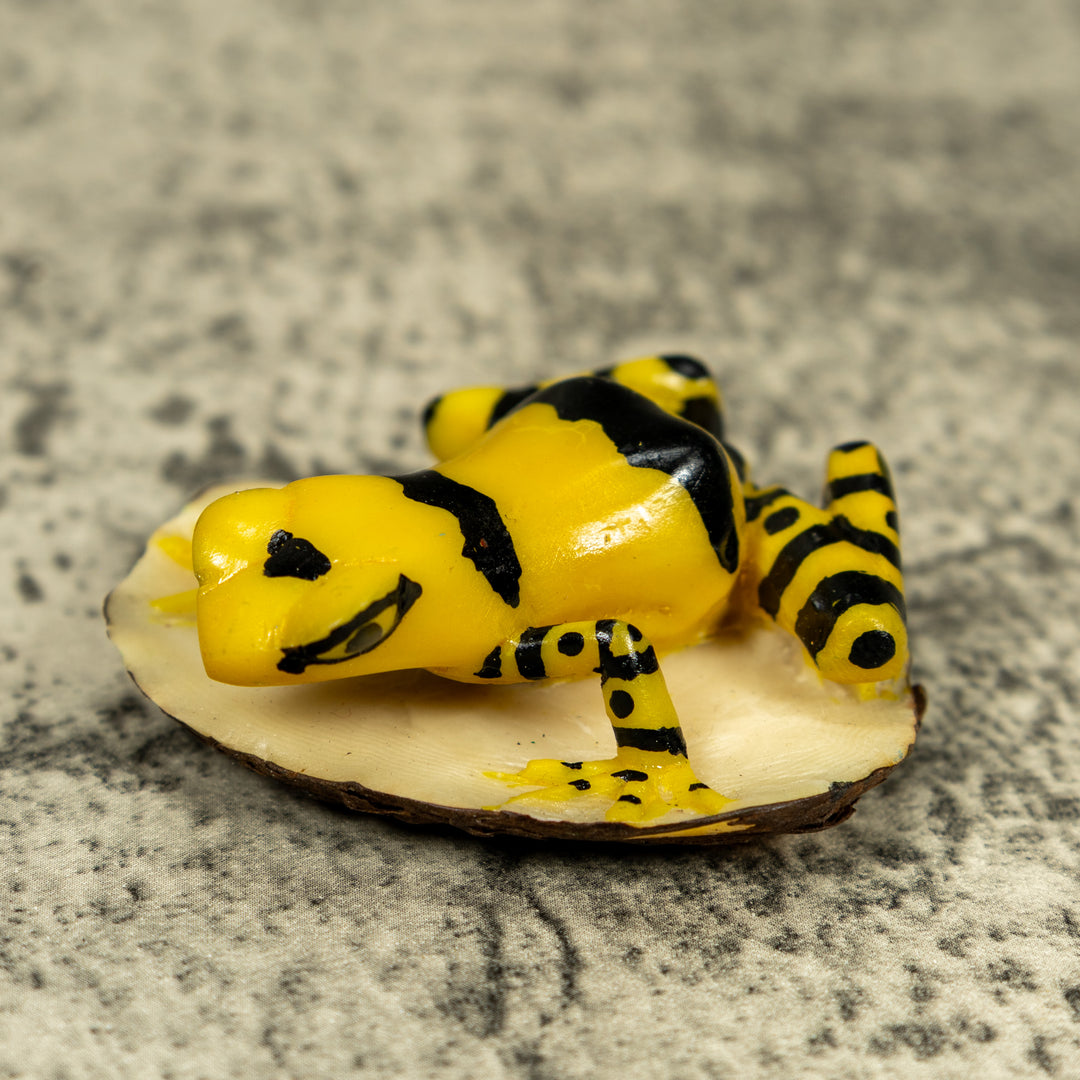 Black And Yellow Golden Frog Tagua Carving
