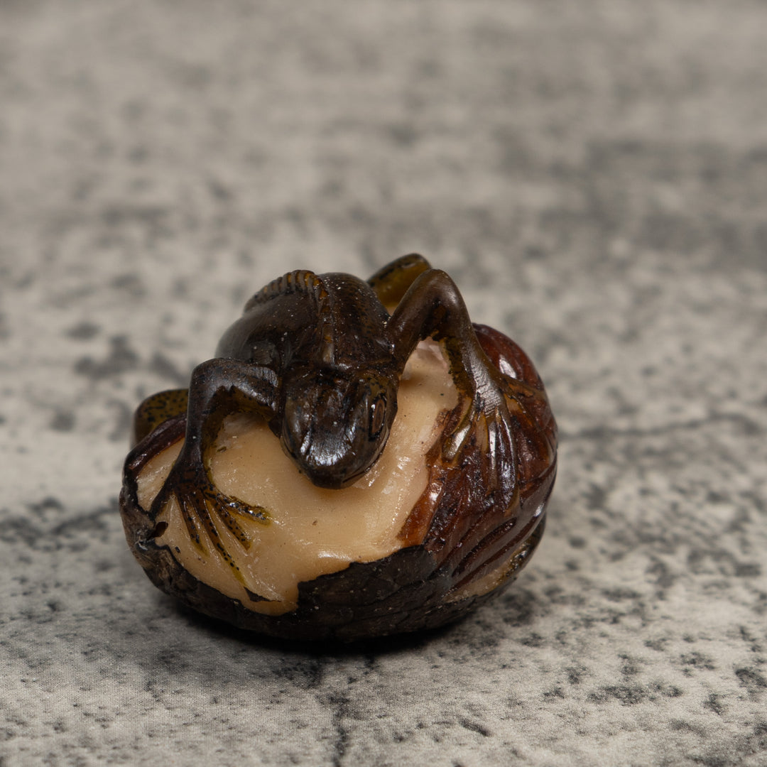 Brown And Black Iguana Lizard Tagua Carving