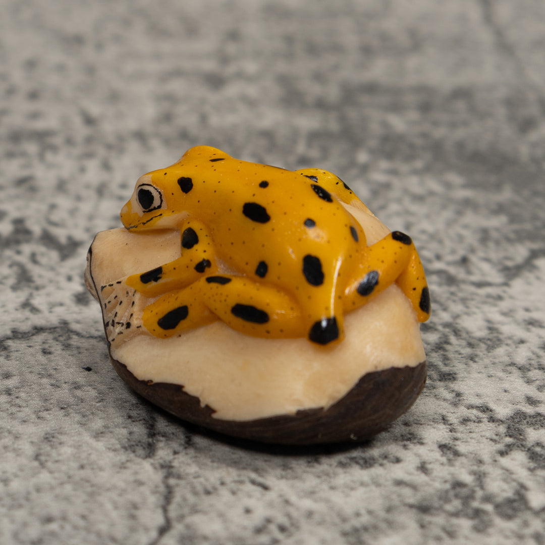 Golden Frog Tagua Carving