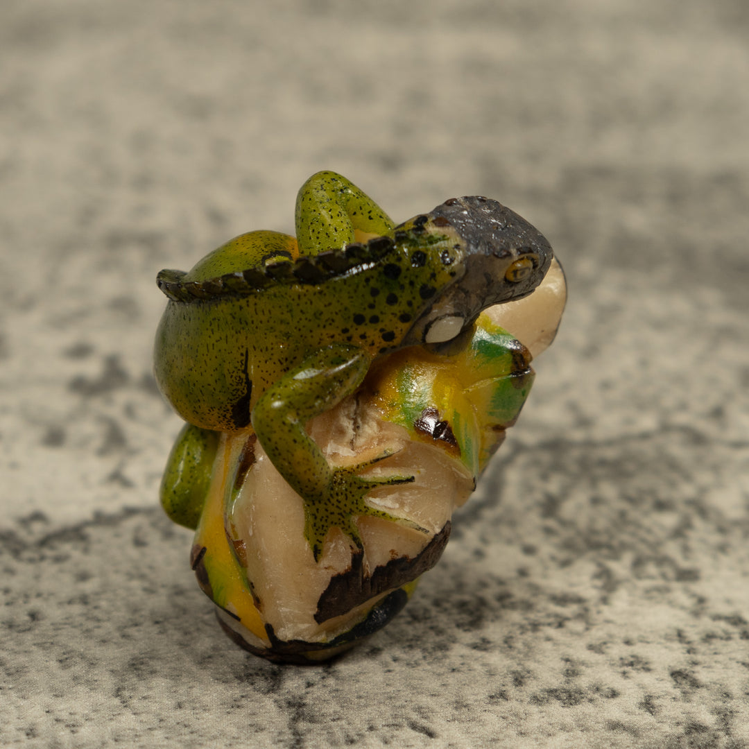 Iguana Lizard Reptile Tagua Carving