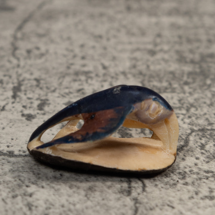 Vintage Black And Blue Bird Tagua Carving