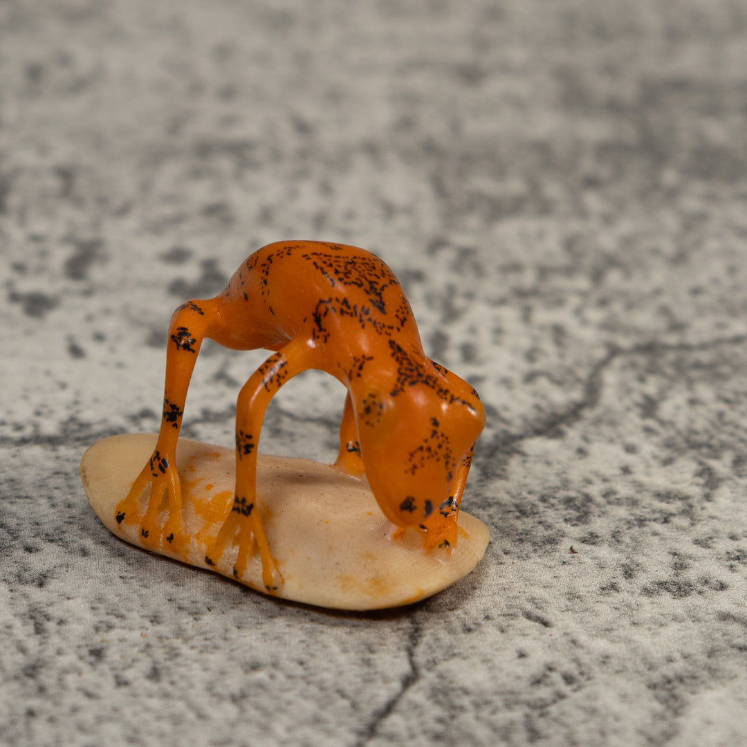 Orange And Black Undercut Frog Tagua Carving