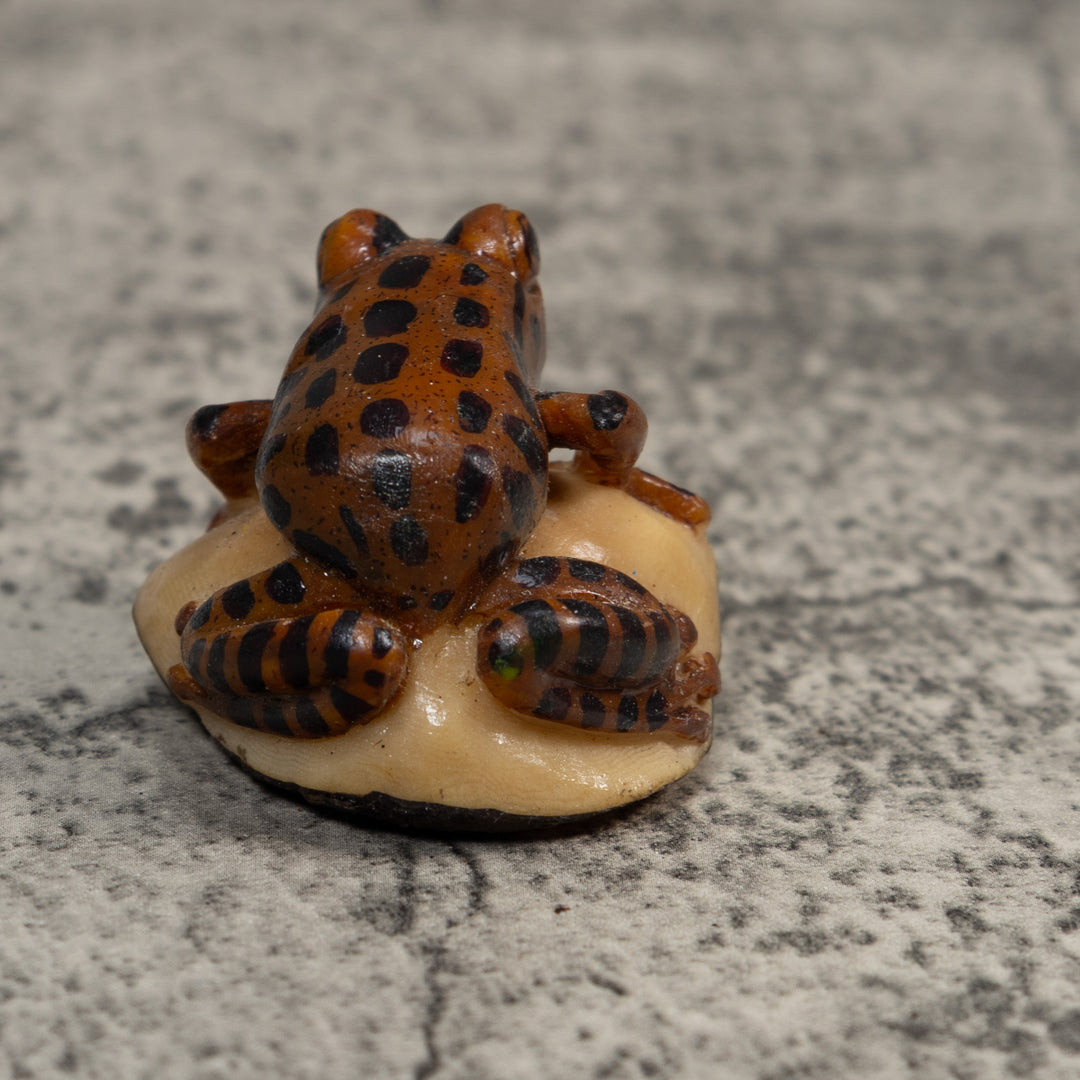 Black And Brown Toad Tagua Carving