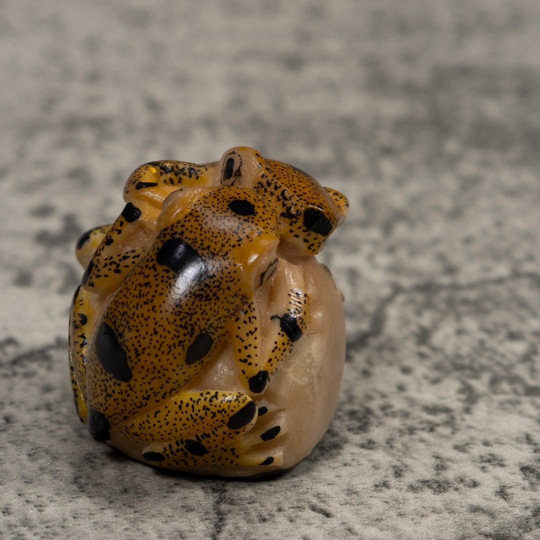Double Vintage Frog Tagua Carving
