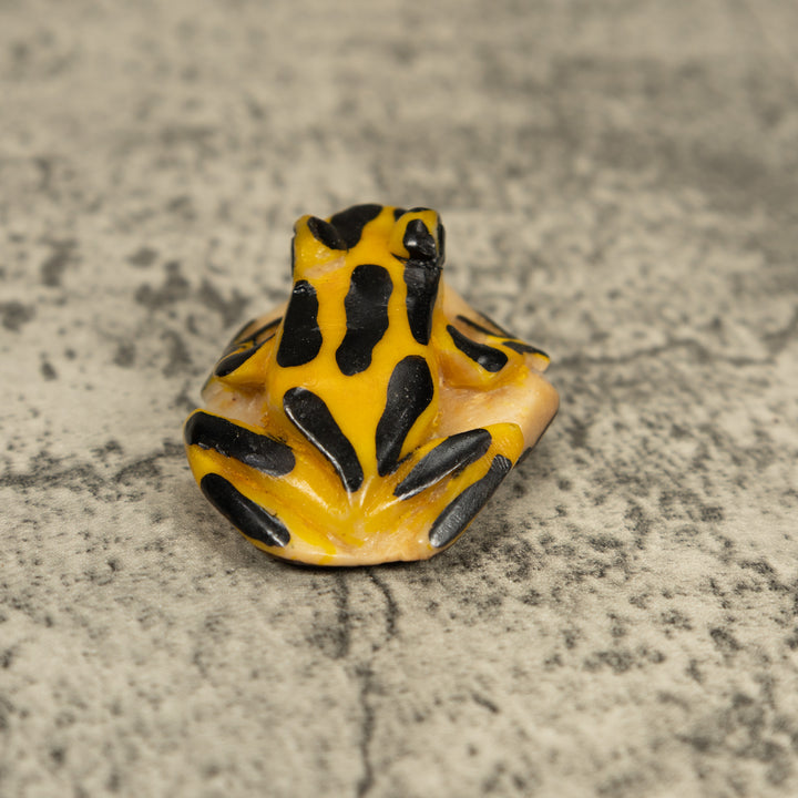 Vintage Black And Yellow Frog Tagua Carving