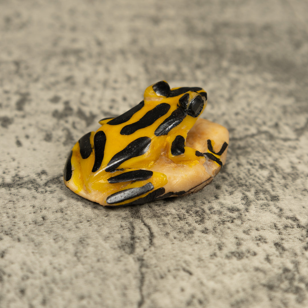 Vintage Black And Yellow Frog Tagua Carving