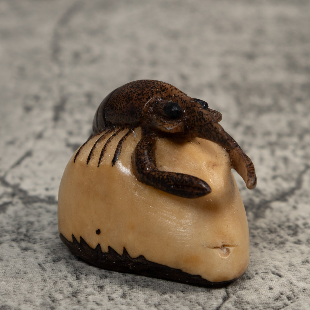 Brown Ocean Shrimp Tagua Carving