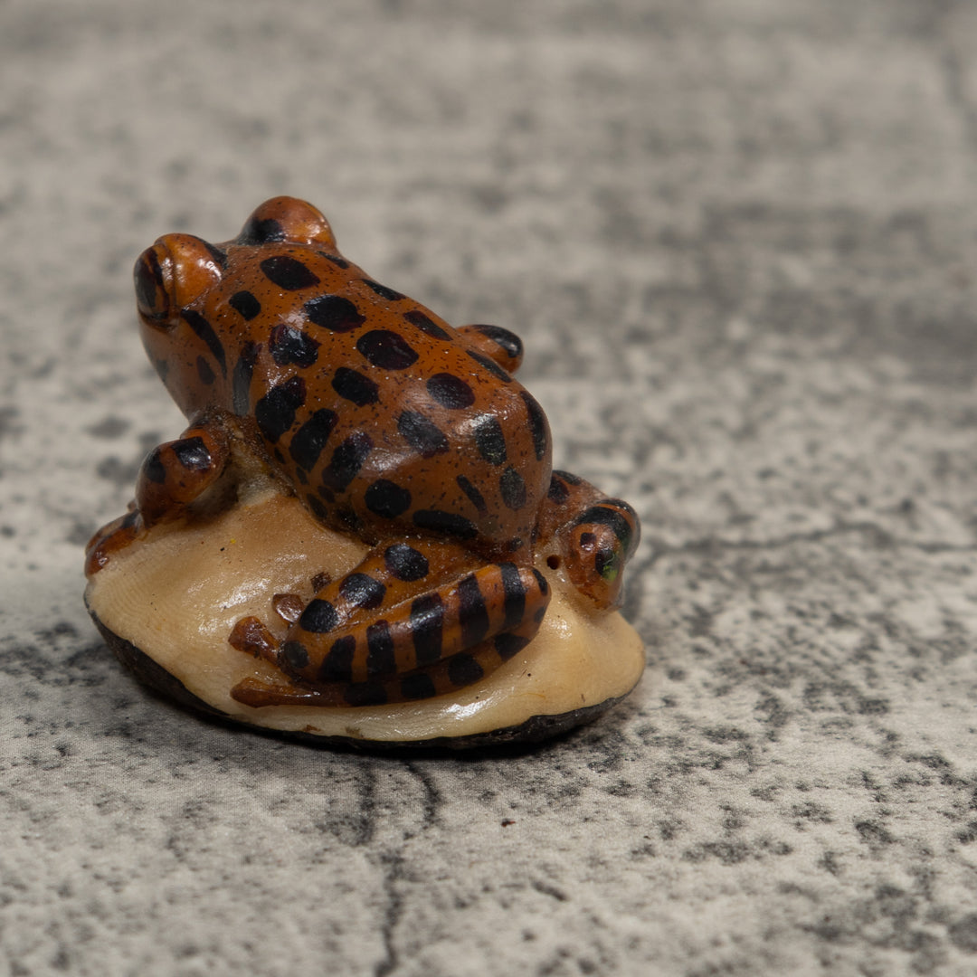 Black And Brown Toad Tagua Carving