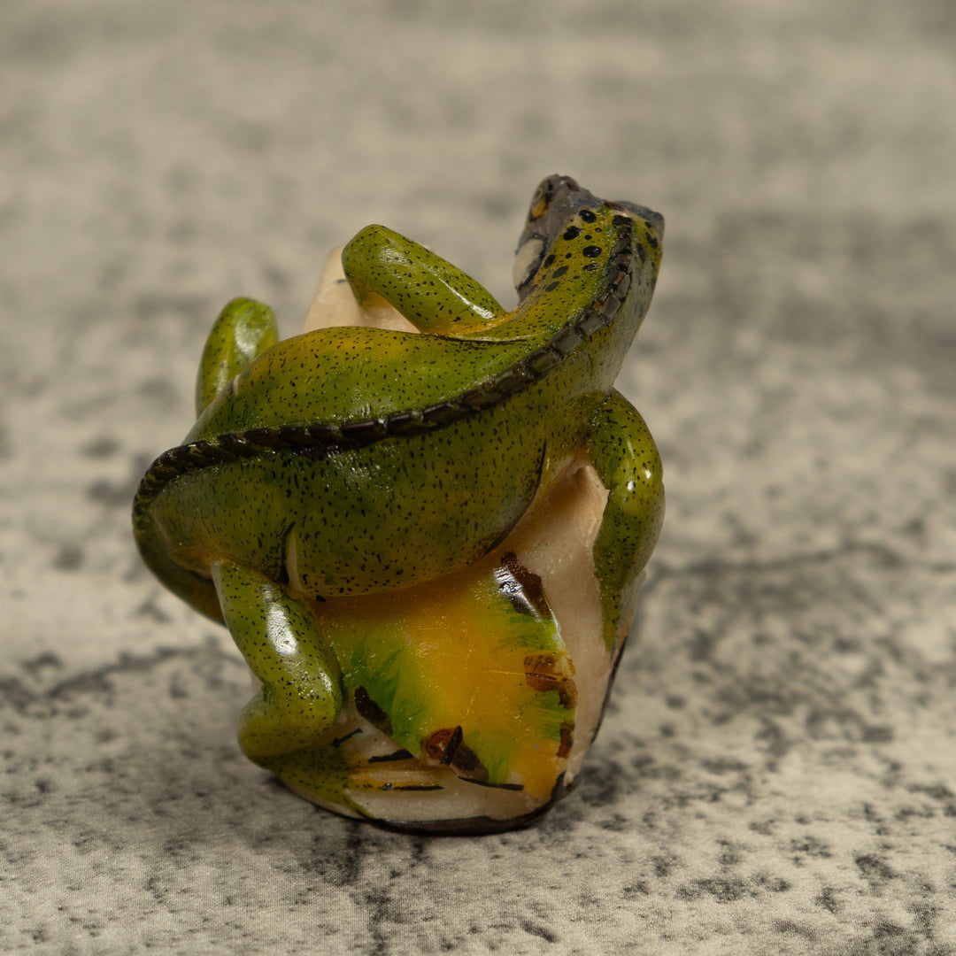 Iguana Lizard Reptile Tagua Carving