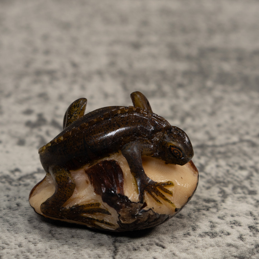 Brown And Black Iguana Lizard Tagua Carving