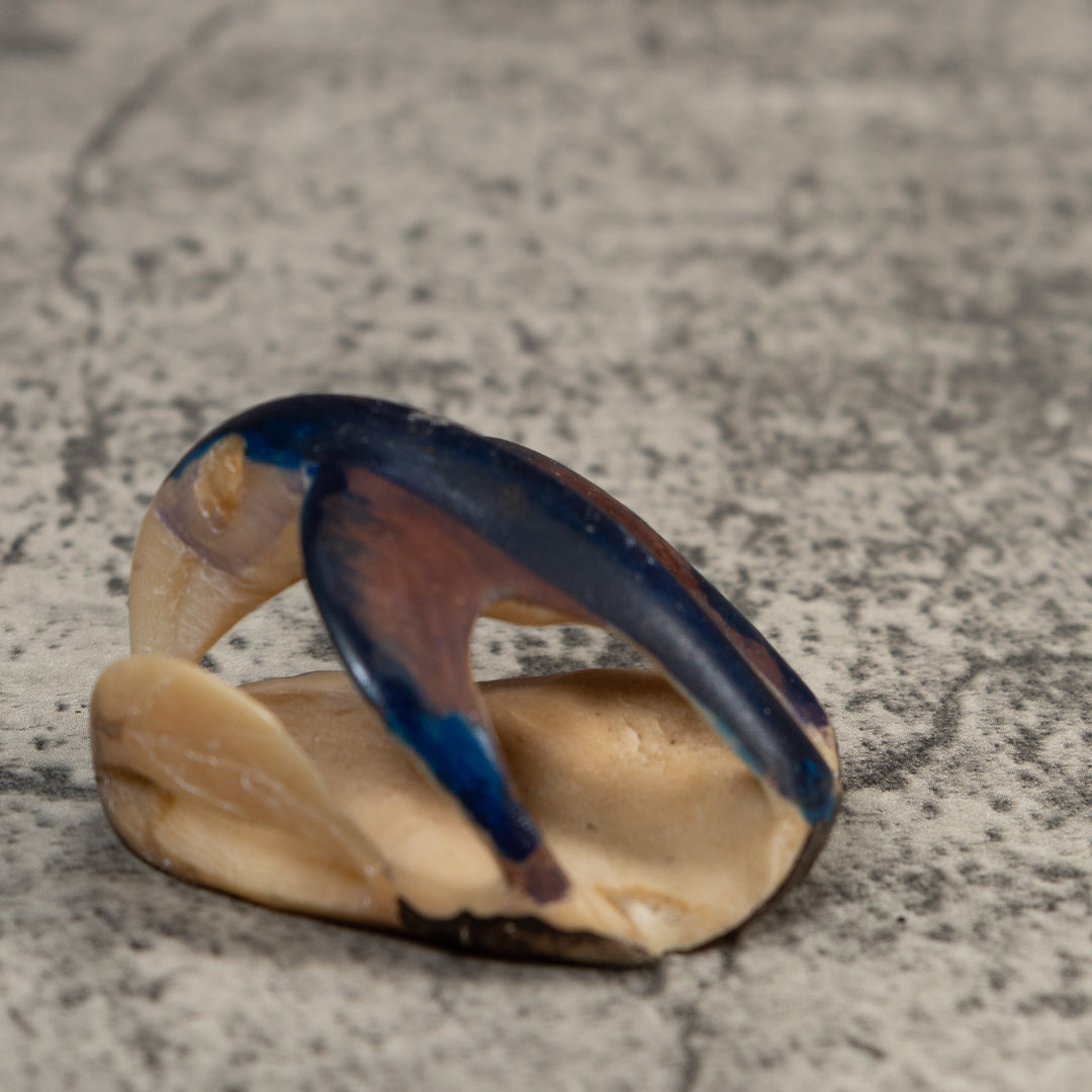 Vintage Black And Blue Bird Tagua Carving