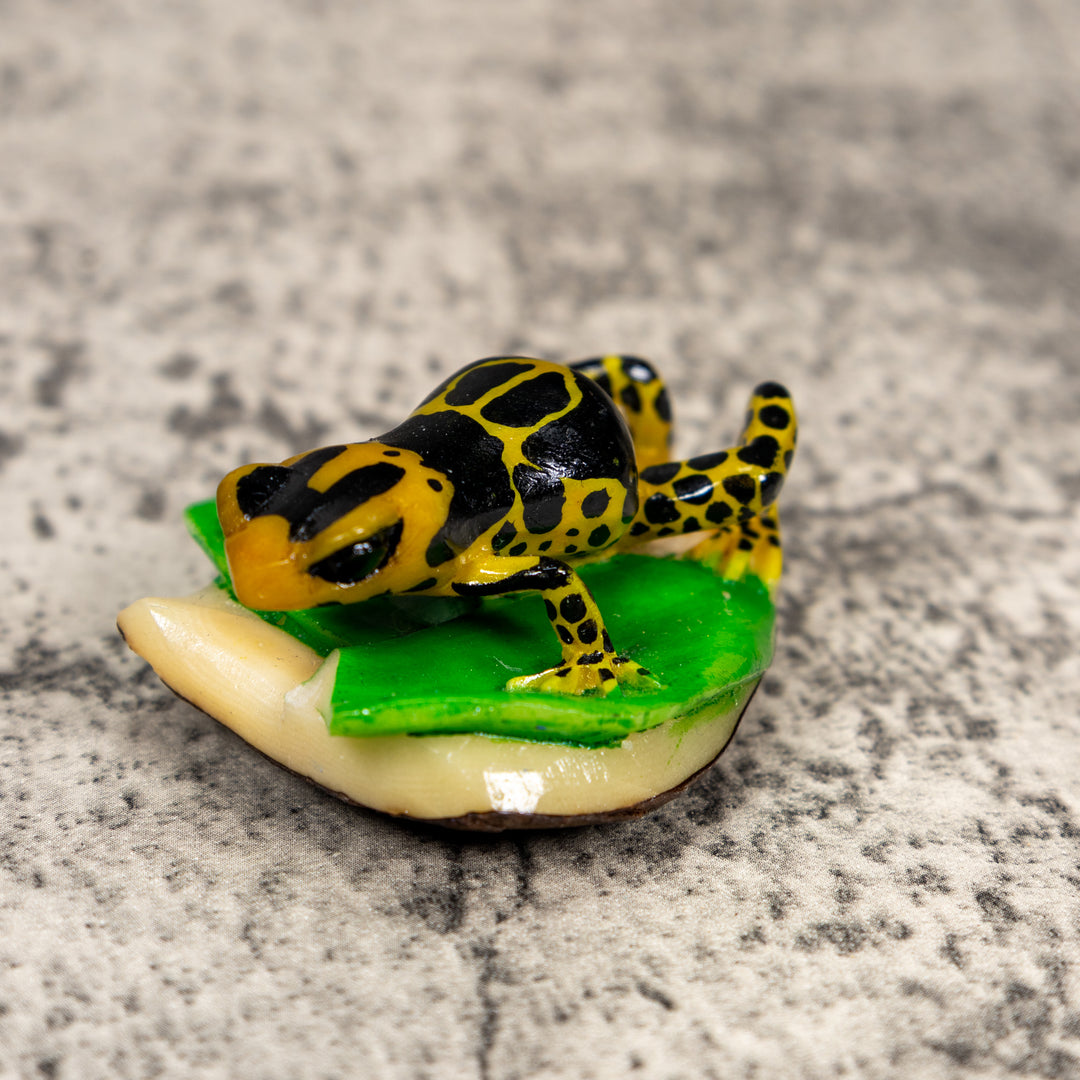 Black And Yellow Poison Dart Frog Tagua Carving