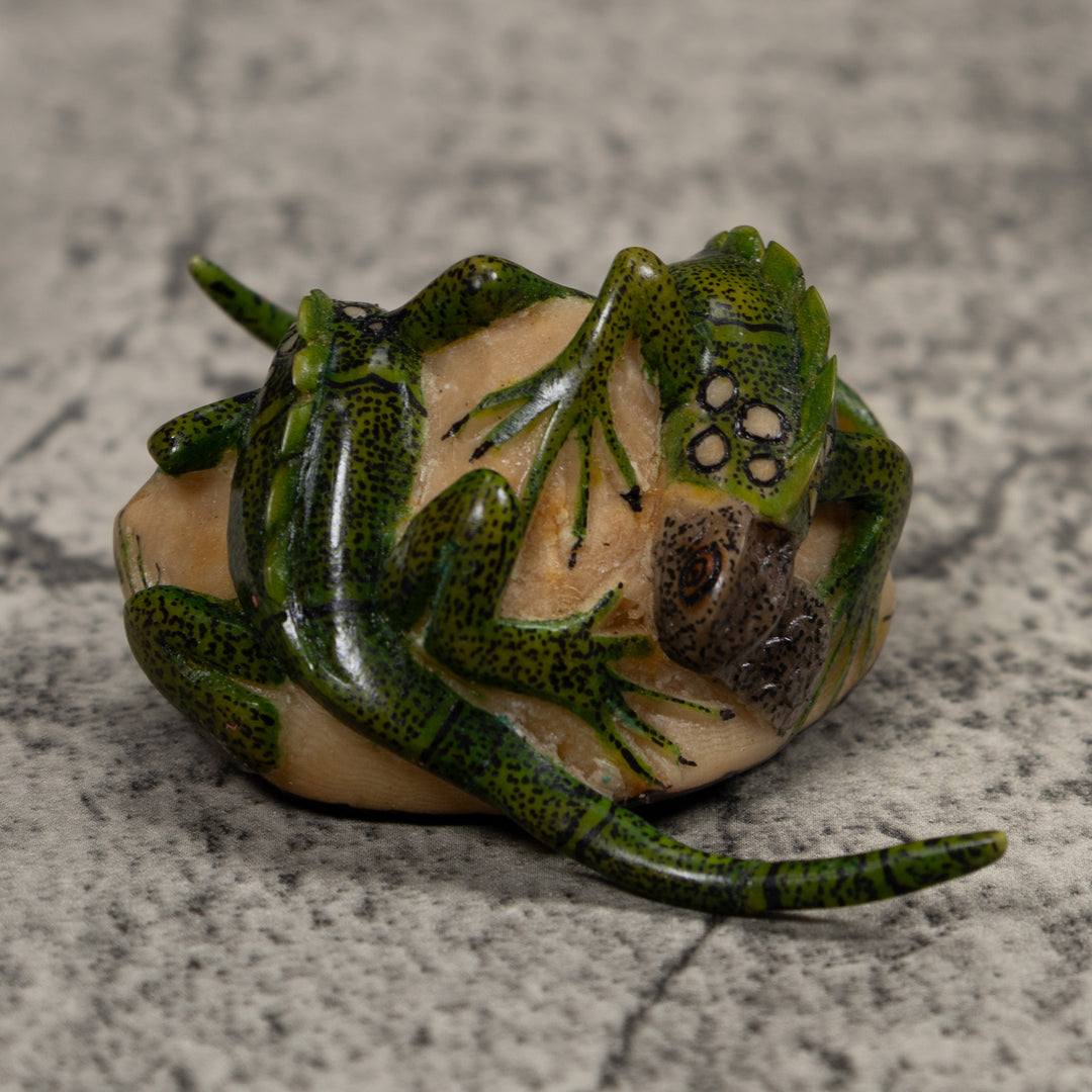 Double Long-Tail Iguana Tagua Carving