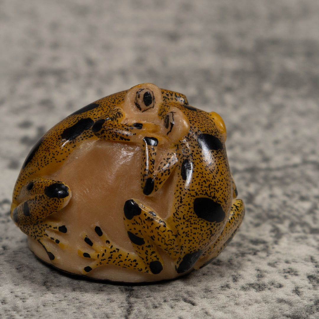 Double Vintage Frog Tagua Carving